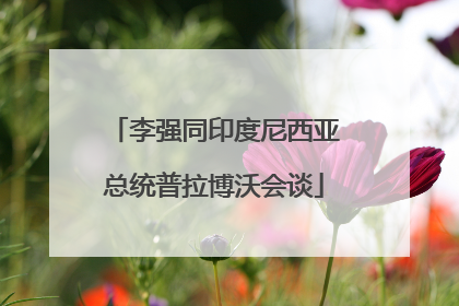 李强同印度尼西亚总统普拉博沃会谈